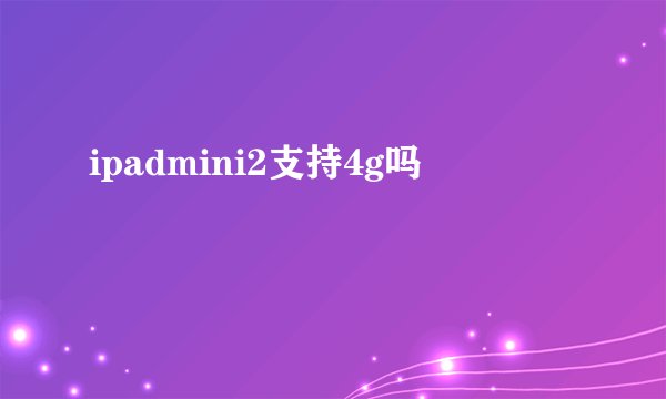 ipadmini2支持4g吗