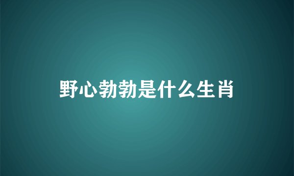 野心勃勃是什么生肖