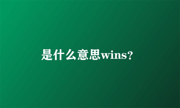 是什么意思wins？
