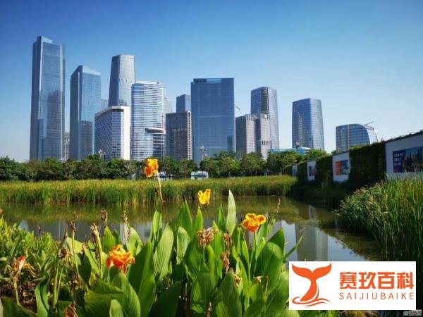 首套低至4.9%!深圳房贷利率下降,能省多少钱?
