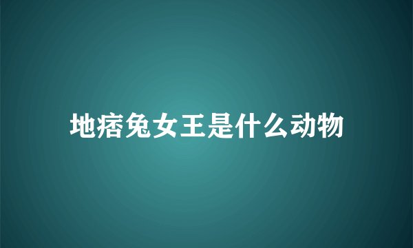 地痞兔女王是什么动物