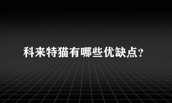 科来特猫有哪些优缺点？