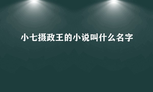 小七摄政王的小说叫什么名字