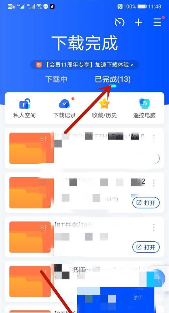 手机迅雷怎样下载BT种子
