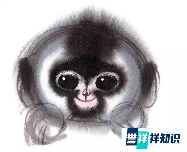 央视春晚吉祥物，韩美林细说创作经过