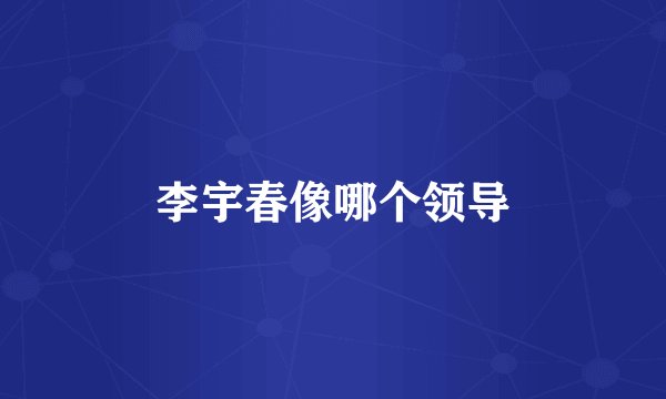 李宇春像哪个领导