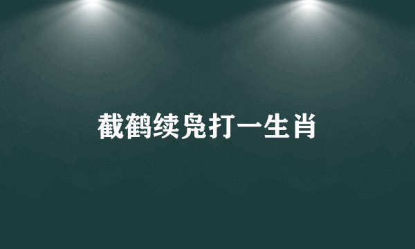 截鹤续凫打一生肖