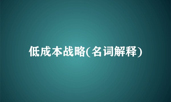 低成本战略(名词解释)
