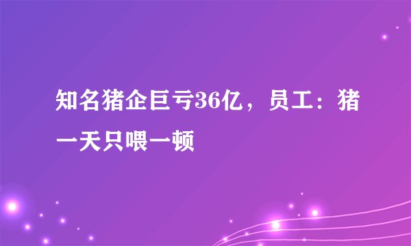 知名猪企巨亏36亿，员工：猪一天只喂一顿