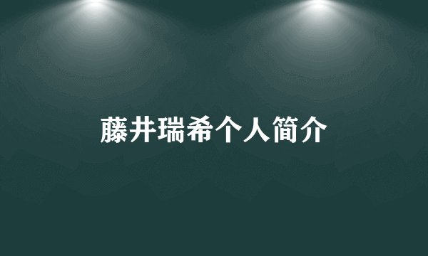 藤井瑞希个人简介