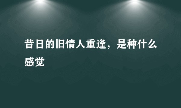 昔日的旧情人重逢，是种什么感觉