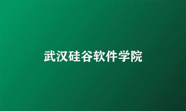 武汉硅谷软件学院