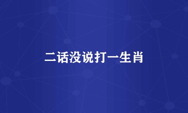 二话没说打一生肖