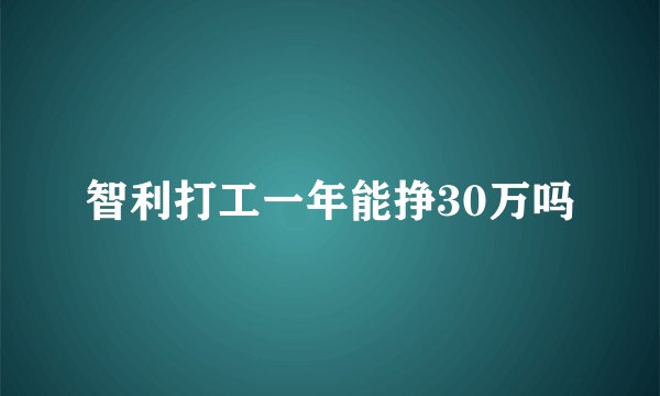 智利打工一年能挣30万吗