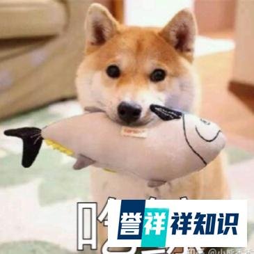 淘宝优惠券怎么领取？到底是不是真的