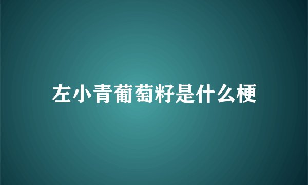 左小青葡萄籽是什么梗