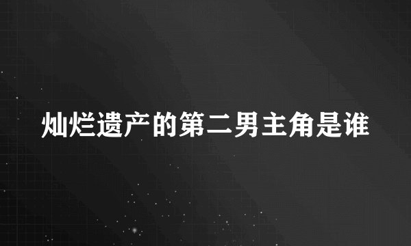 灿烂遗产的第二男主角是谁