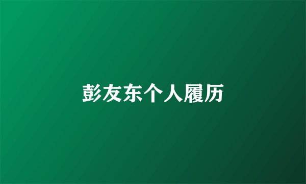 彭友东个人履历