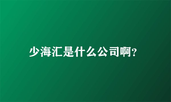 少海汇是什么公司啊？