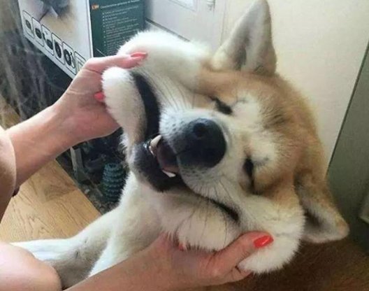 rua是什么意思？