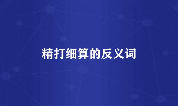 精打细算的反义词