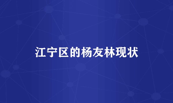 江宁区的杨友林现状