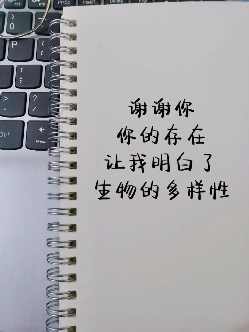 当代网友骂人可以斯文到什么程度