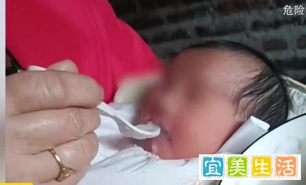 婆婆给出生9天宝宝喂米糊