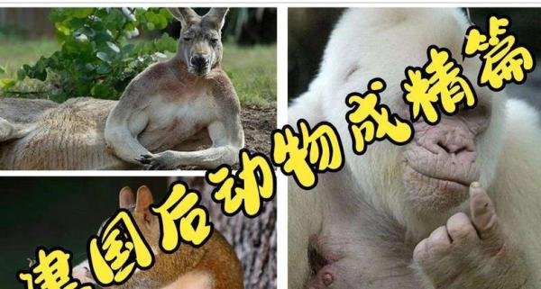 建国以后不许成精并不是玩笑,他背后隐藏的真相绝对超出你的认知