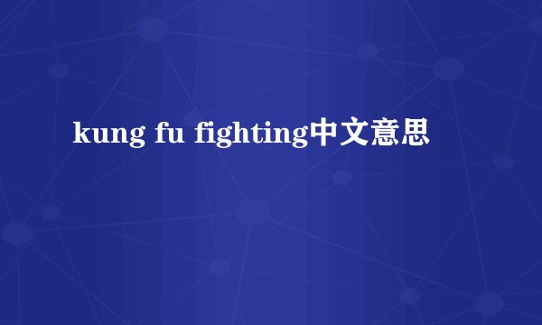 kung fu fighting中文意思