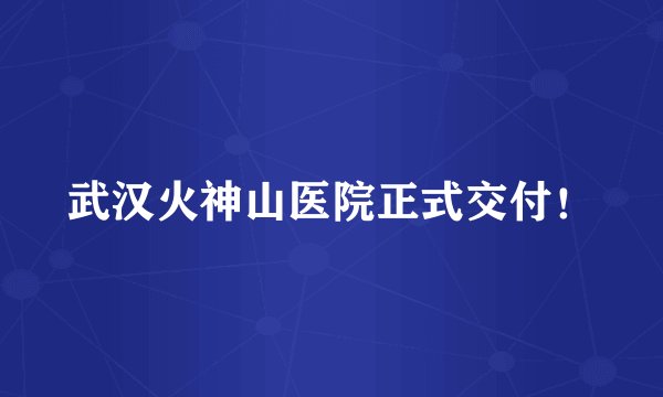 武汉火神山医院正式交付！