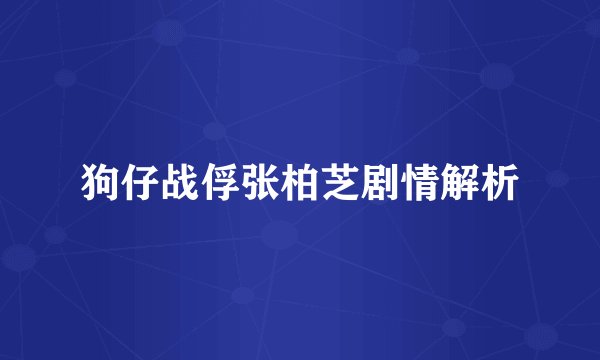 狗仔战俘张柏芝剧情解析
