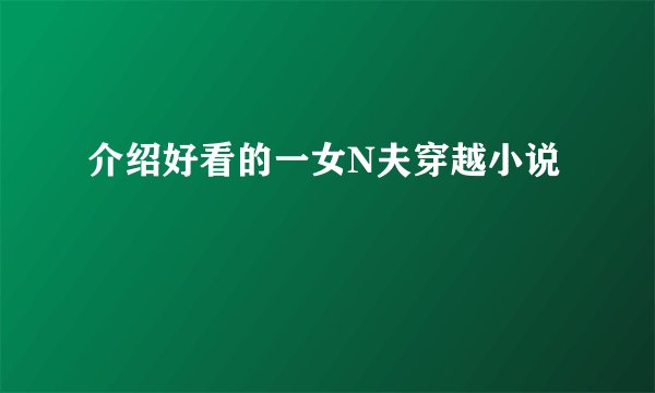 介绍好看的一女N夫穿越小说