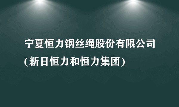宁夏恒力钢丝绳股份有限公司(新日恒力和恒力集团)
