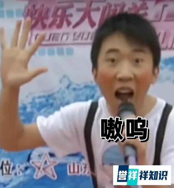 杨迪的“实话实说”与娱乐圈的“疯子现象”
