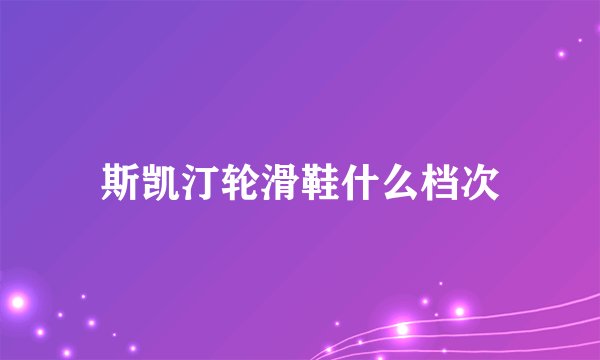 斯凯汀轮滑鞋什么档次