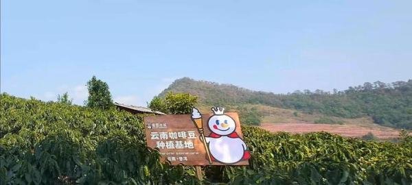 蜜雪冰城冲刺A股：坚持高质平价理念 做国民连锁茶饮第一股