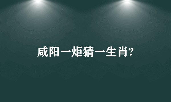咸阳一炬猜一生肖?