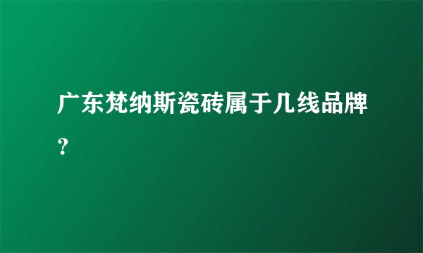 广东梵纳斯瓷砖属于几线品牌？