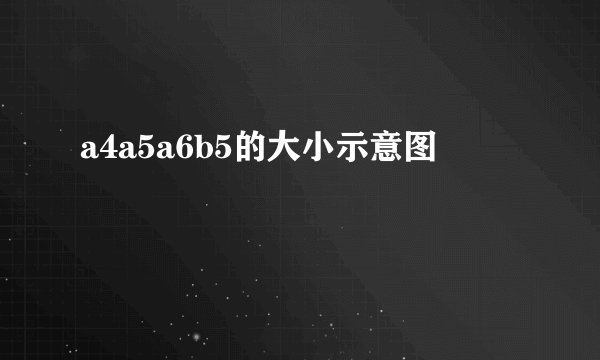 a4a5a6b5的大小示意图