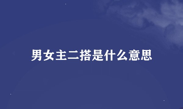 男女主二搭是什么意思