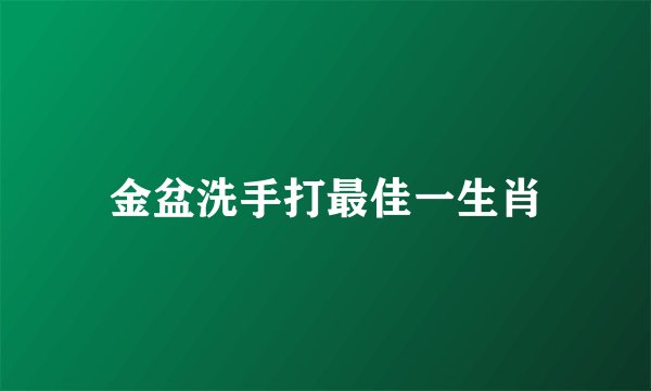 金盆洗手打最佳一生肖