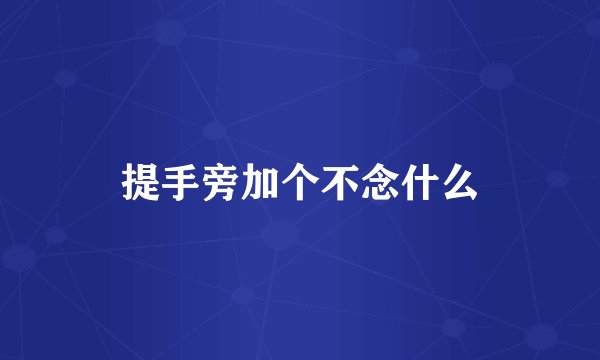 提手旁加个不念什么