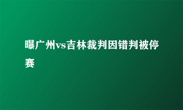 曝广州vs吉林裁判因错判被停赛