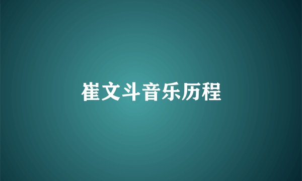 崔文斗音乐历程