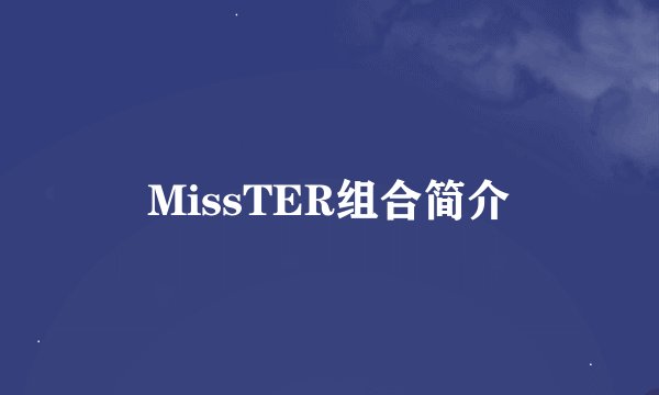 MissTER组合简介
