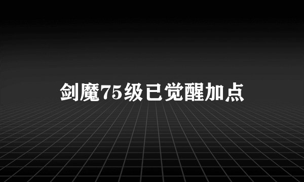 剑魔75级已觉醒加点