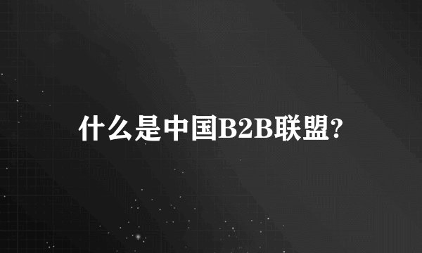什么是中国B2B联盟?
