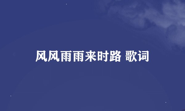 风风雨雨来时路 歌词