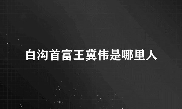 白沟首富王冀伟是哪里人